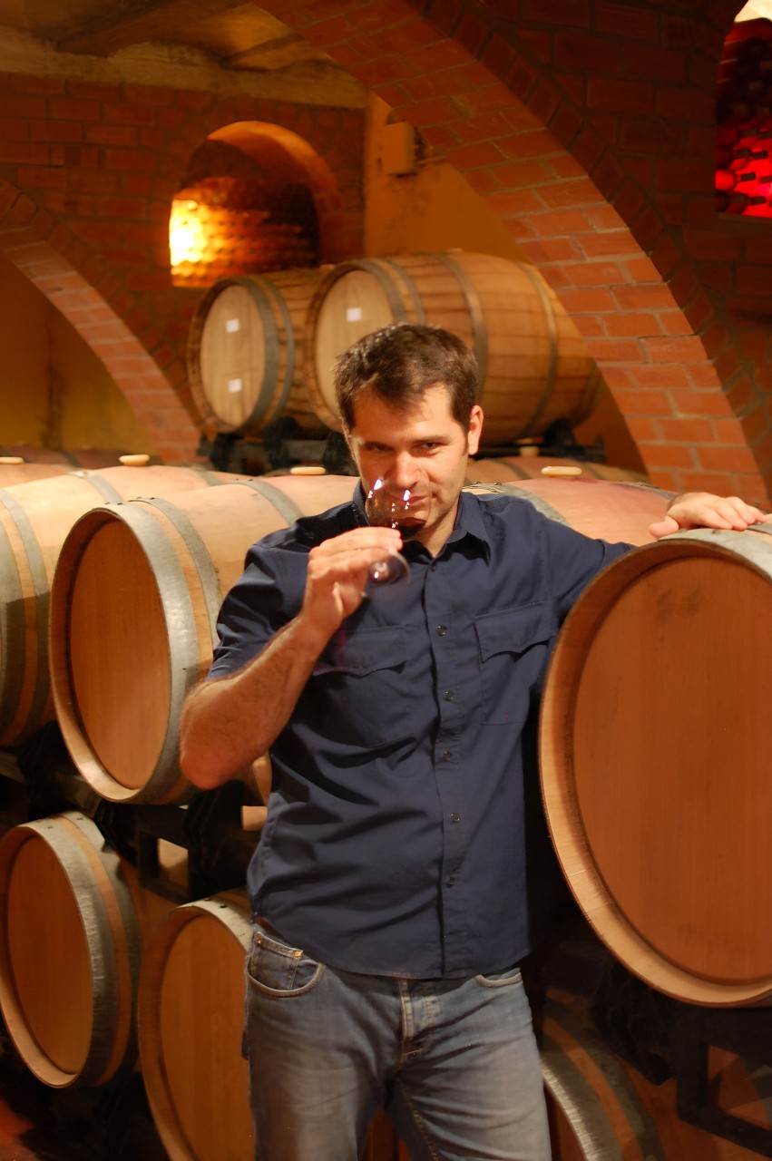 Consultant œnologue dans le Languedoc