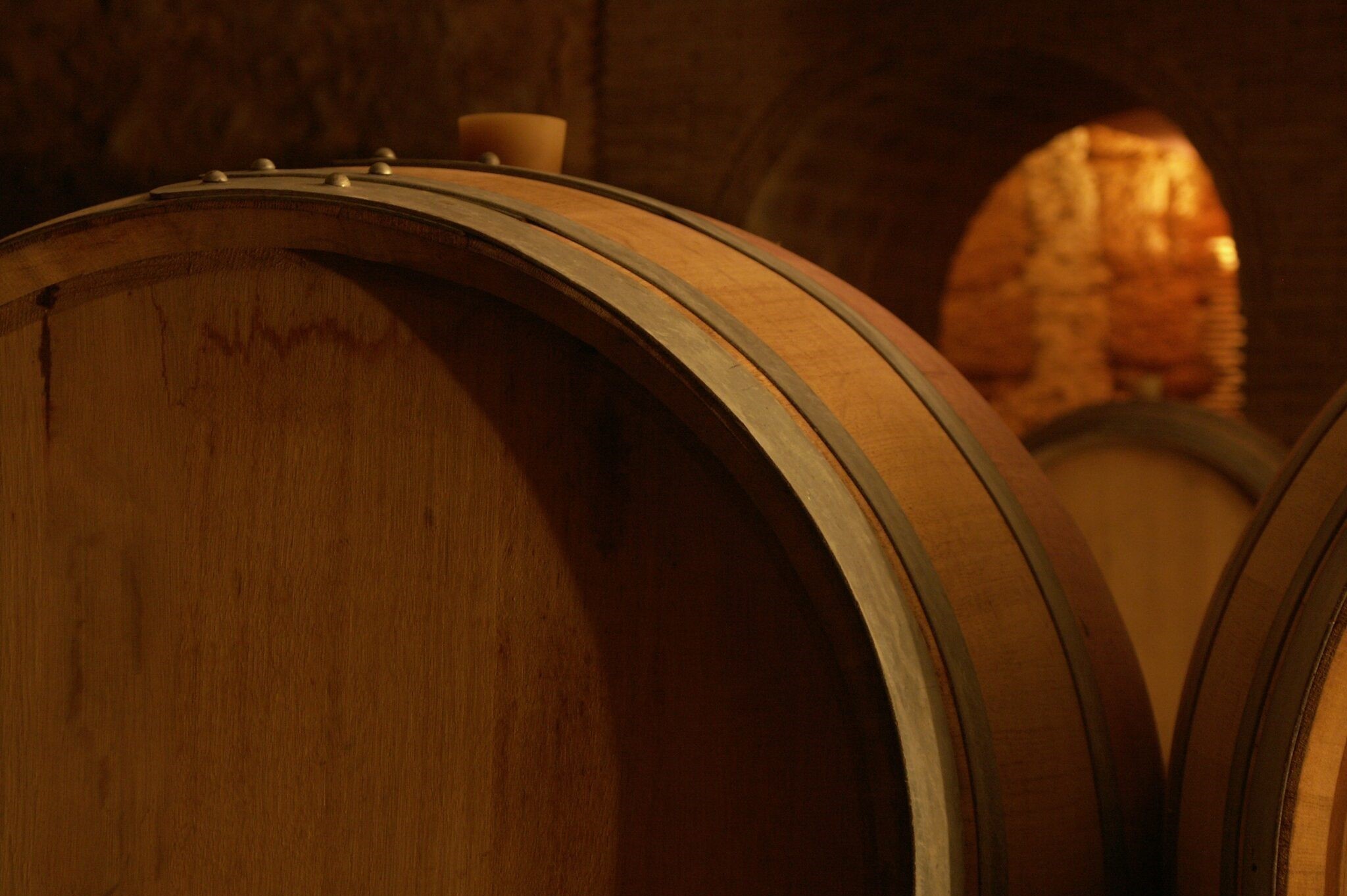 Vin en barrique, conseil œnologique