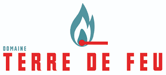 tdf logo