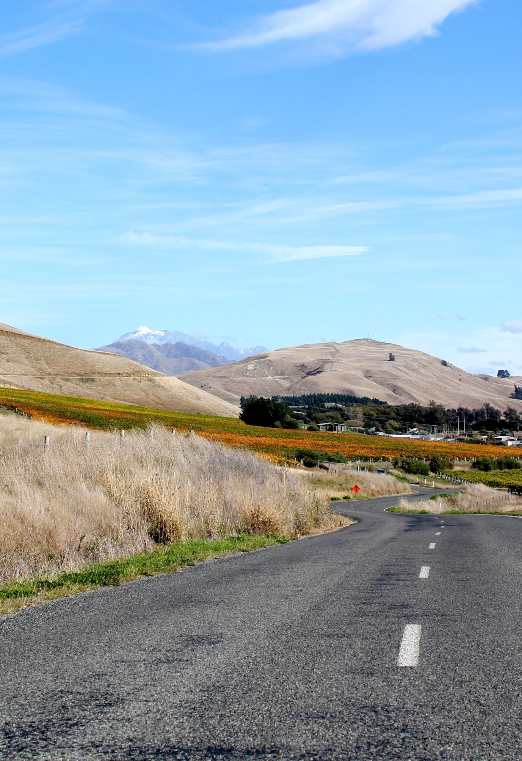 Mario Malafosse, consultant œnologue